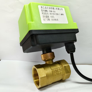 Mini Brass Electric Ball Valve Two-Wire Control Outdoor Waterproof