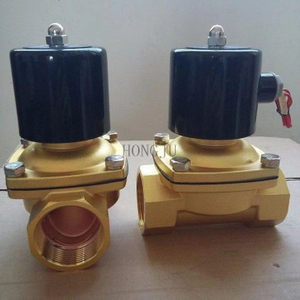 2/2 Way Brass Water Solenoid Valve Direct Acting Type 220V / 24V