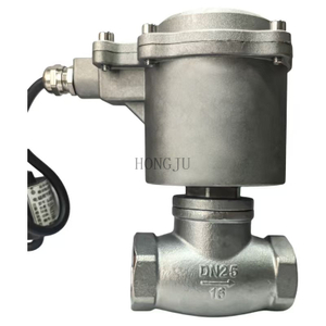 2/2 Way 304 Stainless Steel Piston Type Steam Solenoid Valve