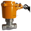 2L Steam Explosion-proof Solenoid Valve