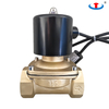 2W Series Diaphragm Brass Water Solenoid Valve Two Way Two Position Outdoor Waterproof IP65 Control Valve