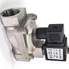 304 Stainless Steel Normally Closed Solenoid Valve 