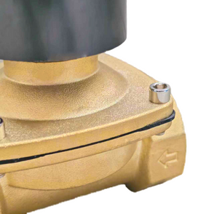 2W Series Diaphragm Brass Water Solenoid Valve Two Way Two Position Outdoor Waterproof IP65 Control Valve